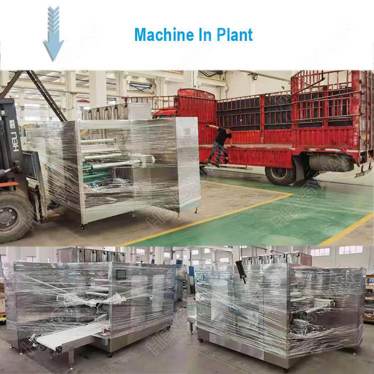 HYSR-100RL Automatic water sealing pva pod packing equipment
