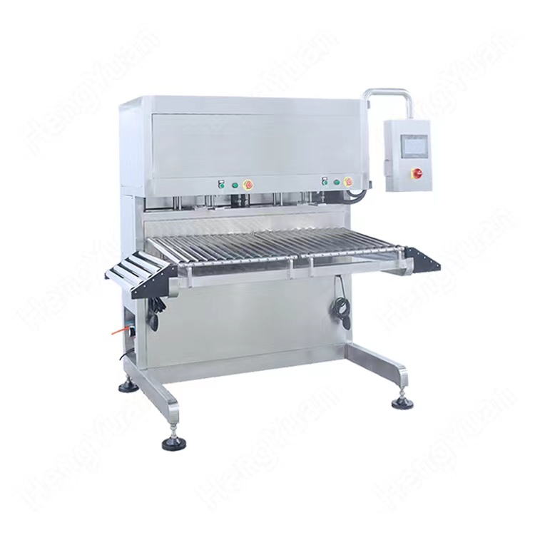 HYBIB-20F Semi-automatic BIB Flowmeter Dosing Two Heads Filling Capping Machine