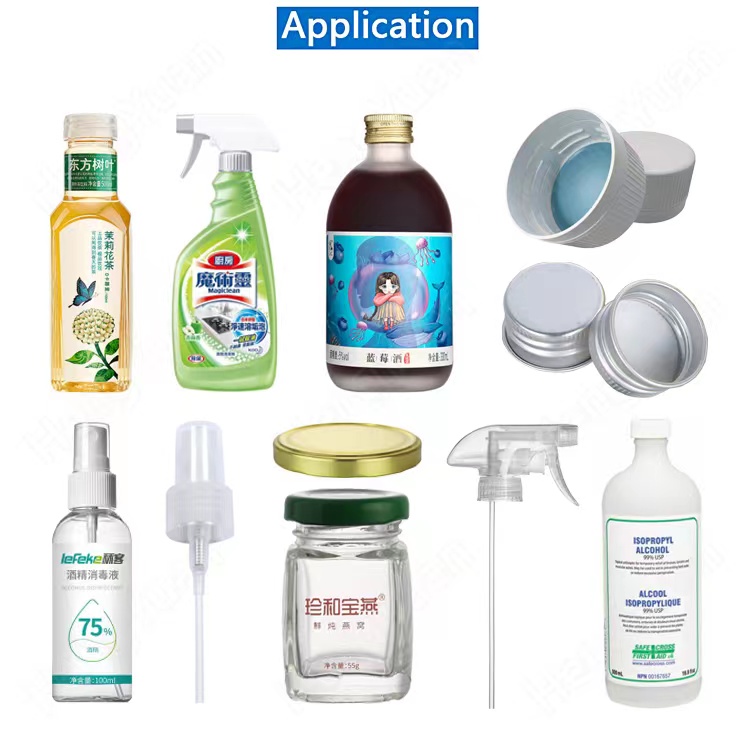 22081001 HYXG-6XT-C Automatic Bottle Screwing Capping Machine.jpg
