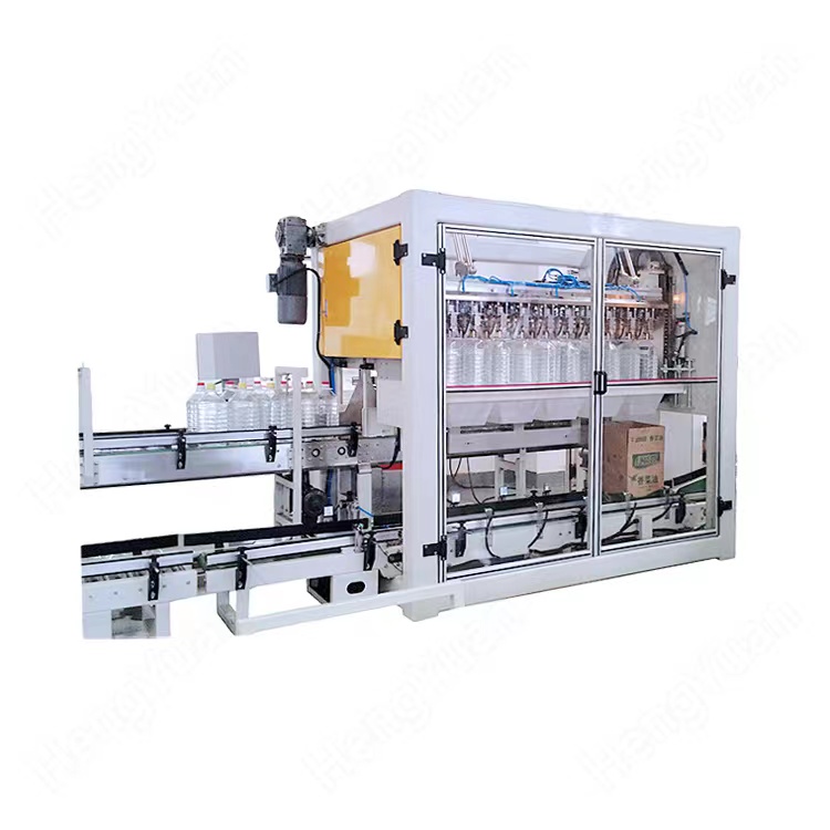 HYCP-10P Automatic Fetching Type Bottles Cartoning Machine.jpg