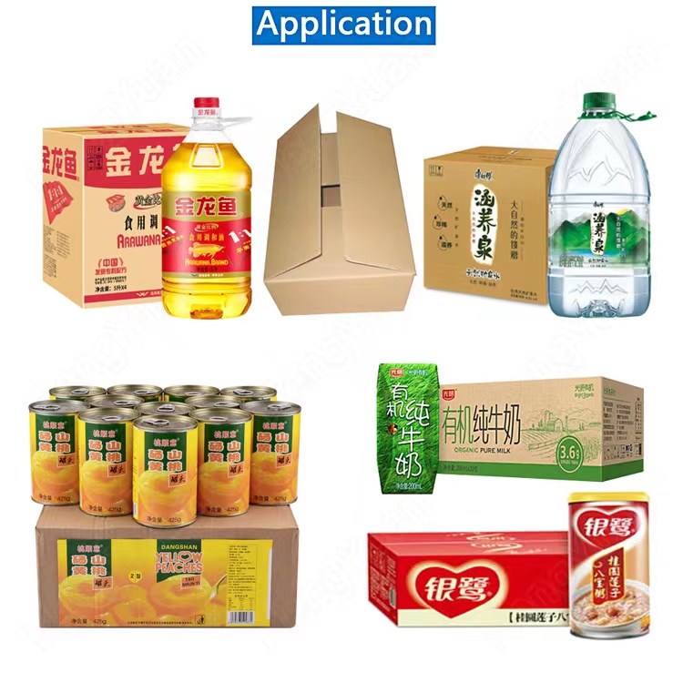 22082501 HYCP-10P Automatic Fetching Type Cartoning Machine.jpg
