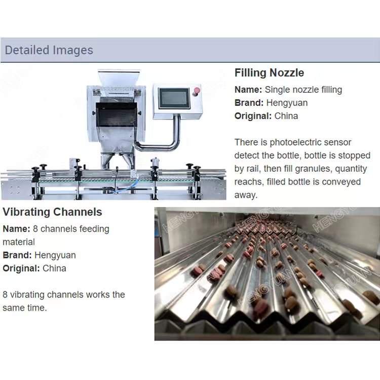 HYJF-8-2 Automatic Electronic Gel Capsules Counting Two Heads Filling Machine.jpg