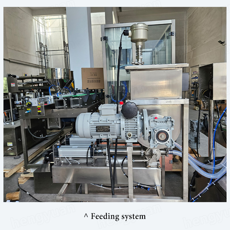 Automatic Sauce Filling Machine Feeding System HYAP-1000PSM-2