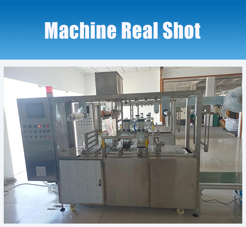 HYSR-200RP Automatic Traction Type PVA Water-soluble Film Pod Packaging Machine