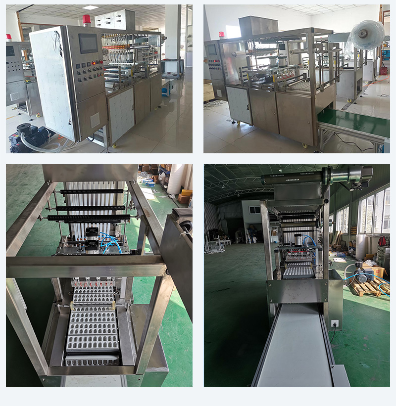HYSR-200RP Automatic Traction Type PVA Film Pod Packaging Machine
