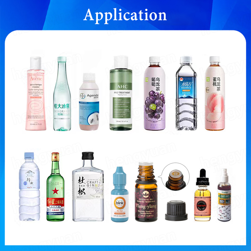 HY-LS6000 Desktop Automatic Magnetic Pump Filling Machine application