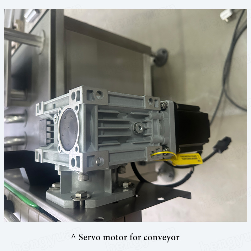 HYRO-A100-S 8 Conveyor servo motor of Rotor pump sauce filling machine