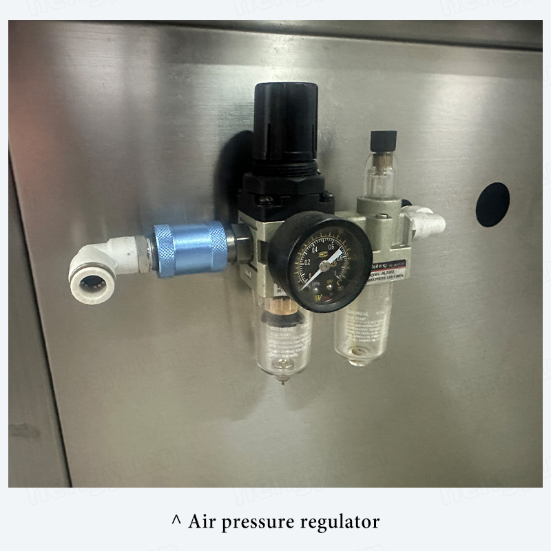 HYRO-A100-S 12 Air pressure regulator of Rotor pump sauce filling machine